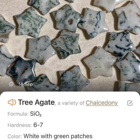 Starry Night Necklace, Genuine White Green Tree Agate Stars & Freshwater Pearls - Picture 10 of 12